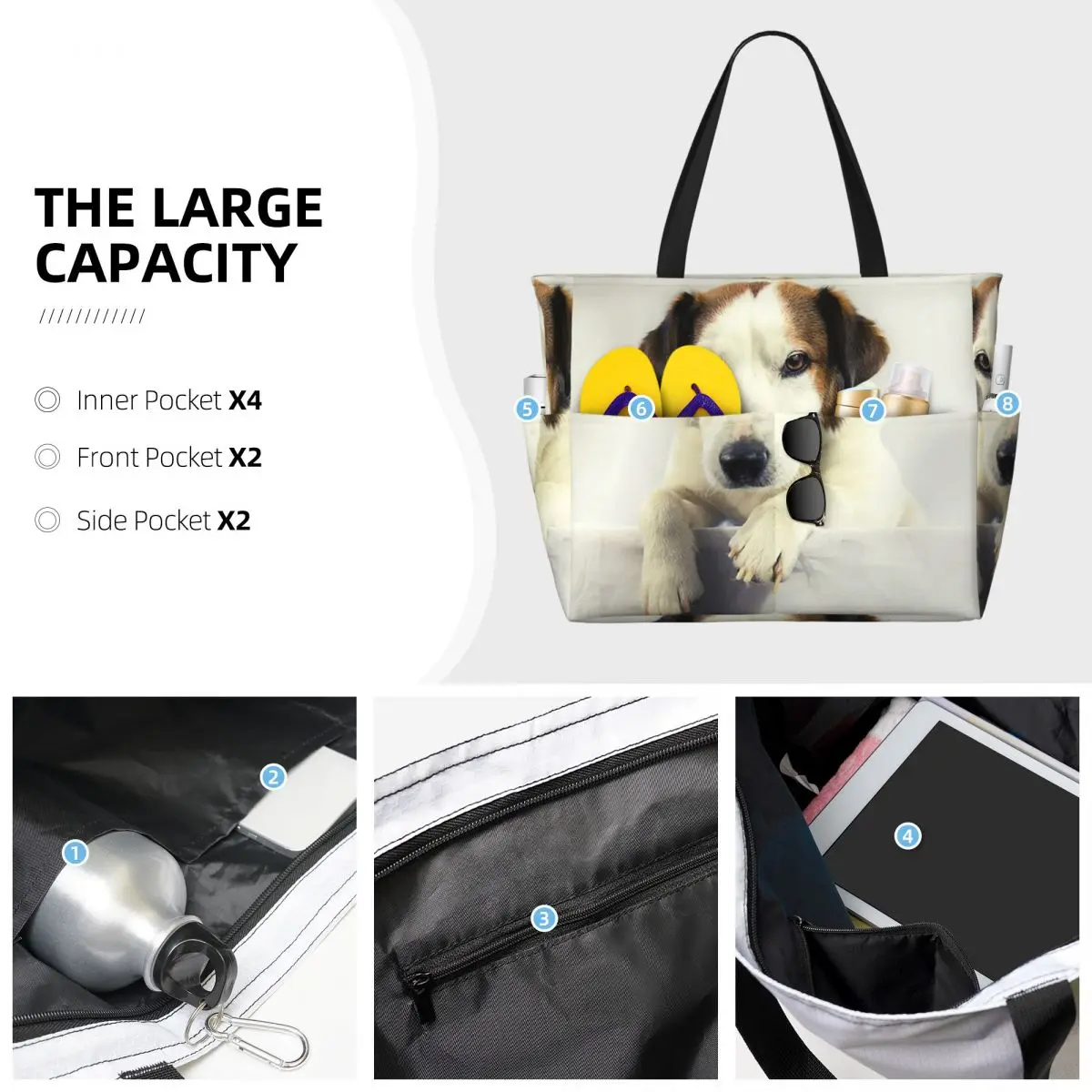 Dog Jack Russell Terrier Photo - огляд і ціна Yoga Fitness Gym Photos