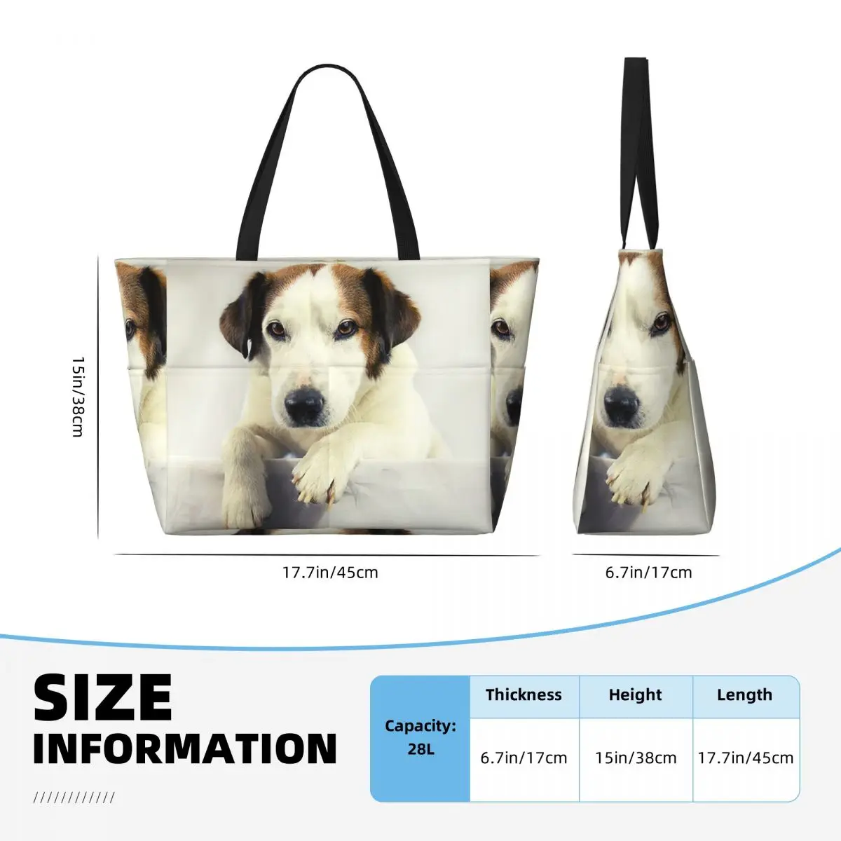 Dog Jack Russell Terrier Photo - огляд і ціна Yoga Fitness Gym Photos